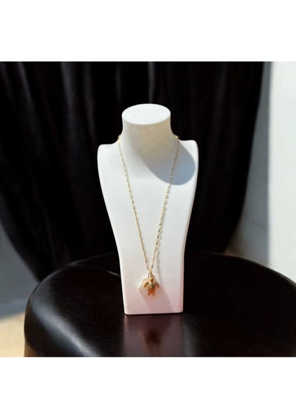 Çelik Kaplumbağa+Deniz Kabuğu Kolye fırsatları