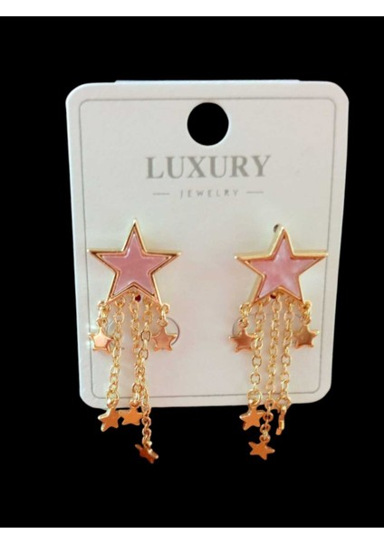 Çelik Yıldız Küpe fiyatları