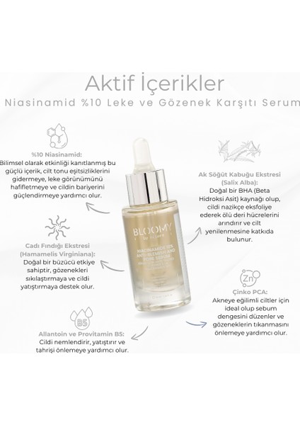 Niasinamid %10 Leke ve Gözenek Karşıtı Serum fırsatları