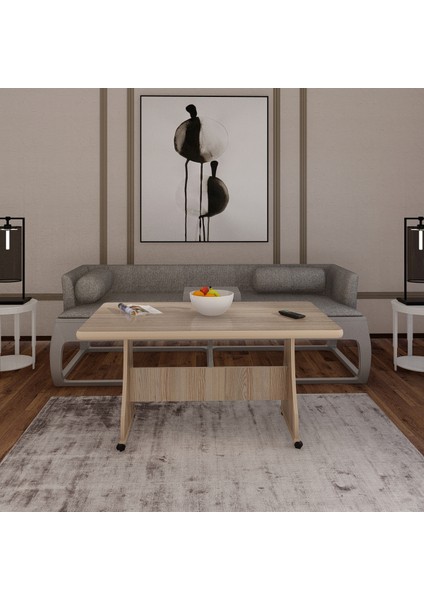 Tekerlekli Mdf Masa Orta Sehpa modelleri