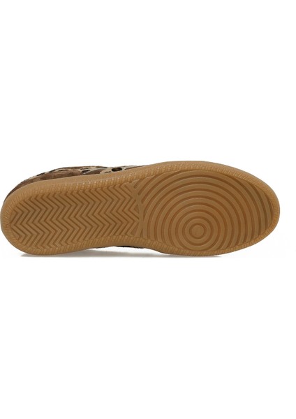 Rhemba 5pr Kahverengi Kadın Sneaker