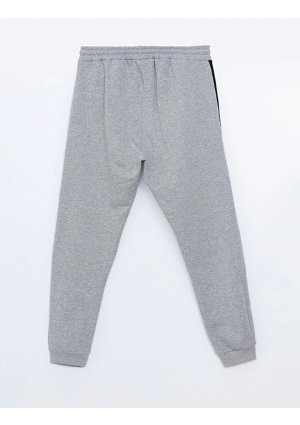 Lcw Casual Gri Standart Kalıp Erkek Kalın Jogger Eşofman Altı
