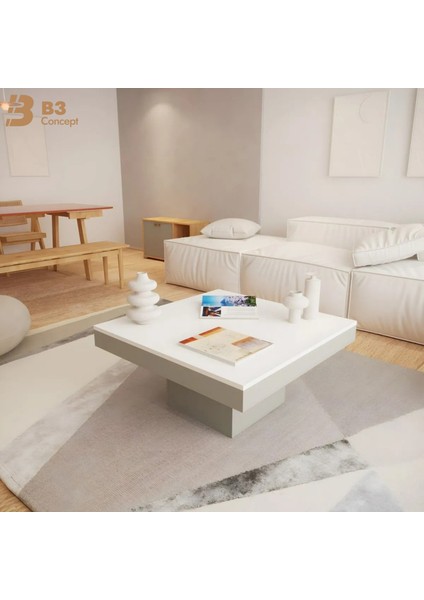 Nort Iı Serisi Modern Dekoratif Kare Salon Orta Sehpa Beyaz & Gri