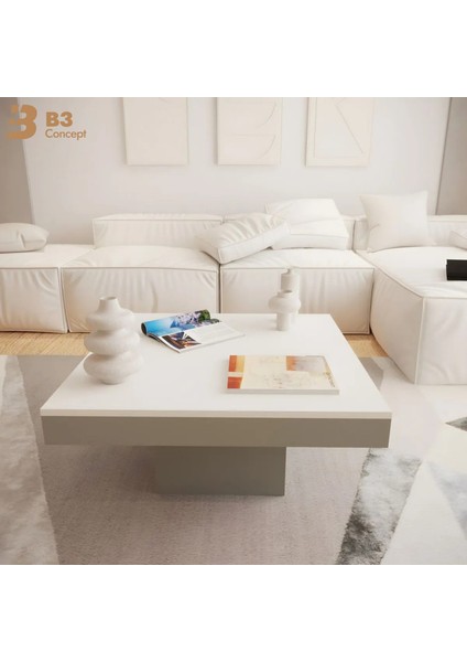 Nort Iı Serisi Modern Dekoratif Kare Salon Orta Sehpa Beyaz & Gri