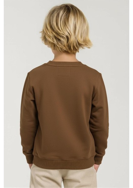 Erkek Çocuk Swaetşirt 1-4 Yaş 49602 fiyatları