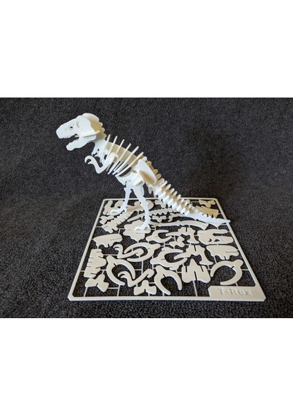 T-Rex Dinozor Maket 3D