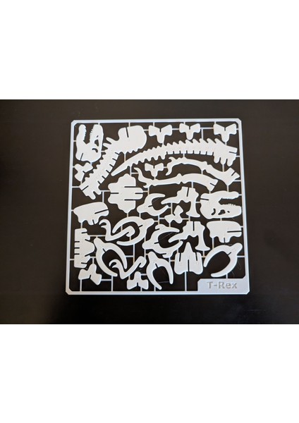 T-Rex Dinozor Maket 3D modelleri