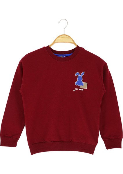 Erkek Çocuk Bluz Tavşan Baskılı Şardonlu