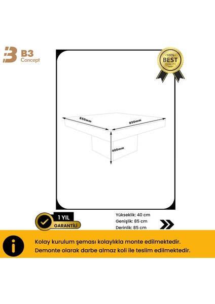 Nort Serisi Modern Dekoratif Kare Salon Orta Sehpa Safir Meşe