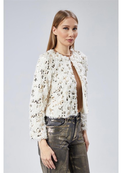 Sakallı Pul Payetli Ceket fiyatları