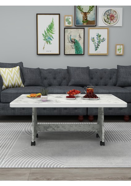 Tekerlekli Orta Sehpa fiyatları