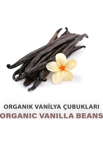 Organic Vanilla Beans | 12G modelleri