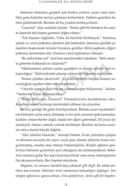 Canavarların Da Kalbi Varmış 2: Canavarlar Da Hüzünlüdür (Kutulu) - N. G. Kabal