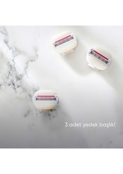 Comfort Glide Sugarberry 3 Adet Yedek Başlık