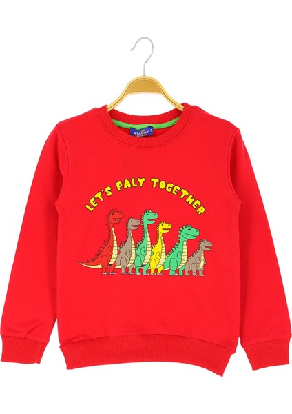 Erkek Çocuk Bluz Baskılı Şardonlu