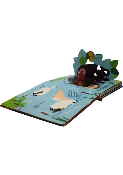 Aç Bak Şaşır! - Bebeğimle Hayvanlar Âleminde Büyük, Büyük, Çok Büyük (Büyük Boy 3 Boyutlu Kitap) indirimleri