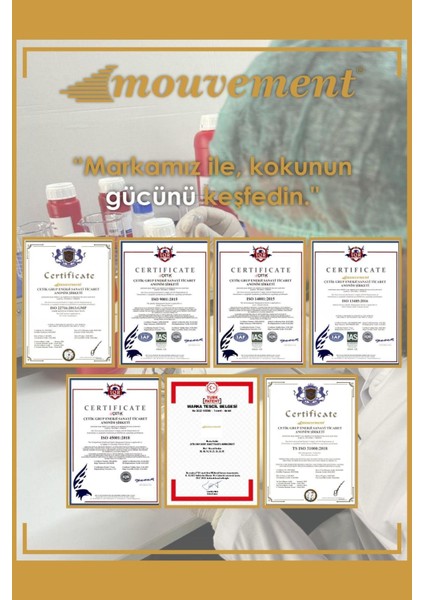 Mistik Ud Çubuklu Oda Kokusu 100 ml – Dekoratif Plastik Şişe - Reed Diffuser fiyatları