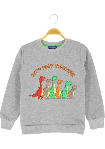 Erkek Çocuk Bluz Baskılı Şardonlu