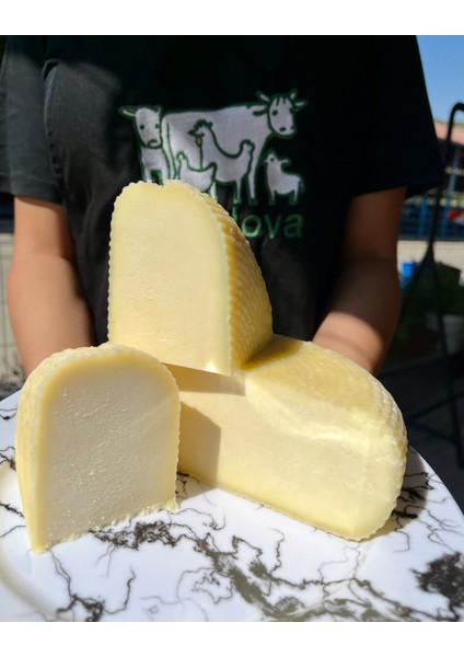 Çerkes Peyniri fiyatları