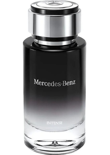 Intense Edt 120 ml Erkek Parfümü