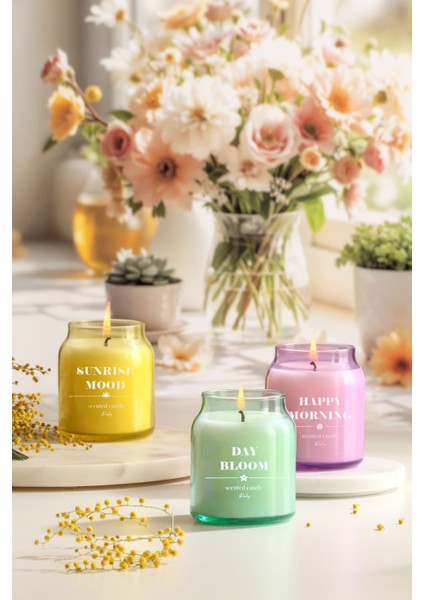 Seasonal Glow 3'lü Set Şakayık Kokulu Mum 600 gr