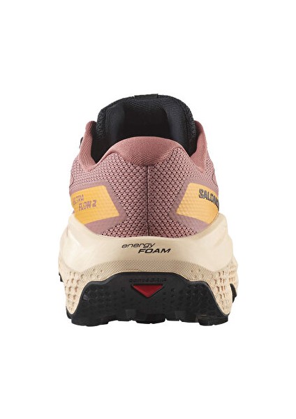 Ultra Flow 2 Gtx Kadın Outdoor Koşu Ayakkabısı L47884500 Pembe indirimleri