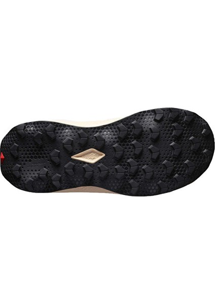 Ultra Flow 2 Gtx Kadın Outdoor Koşu Ayakkabısı L47884500 Pembe