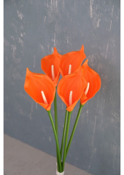 Turuncu 5’li Gala Demet