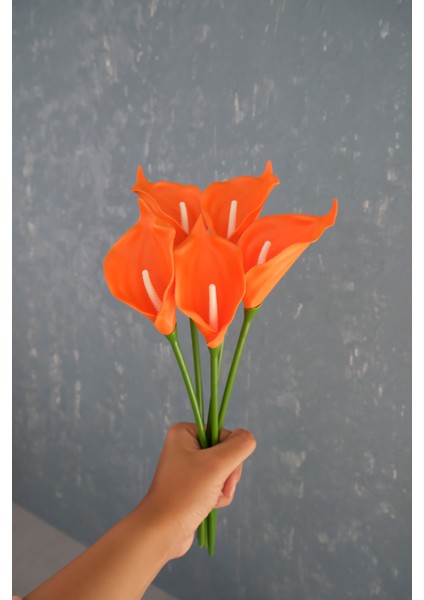 Turuncu 5’li Gala Demet fiyatları