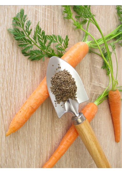 Havuç Tohumu Yağı ve Baobab Yağı 2 x 20 ml - %100 Soğuk Sıkım Saf modelleri