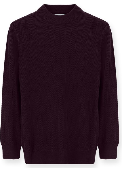 Yarım Balıkçı Yaka Slim Fit Dar Kesim Desenli Pamuklu Triko Kazak fiyatları