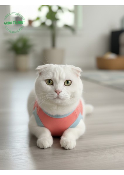 Şeker Pembe Renkli Kedi ve Köpek Kıyafeti Elbisesi Sarı Kedi Baskılı