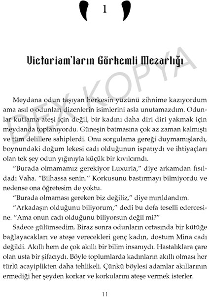 Canavarların Da Kalbi Varmış 2: Canavarlar Da Hüzünlüdür (Ciltli) - N. G. Kabal