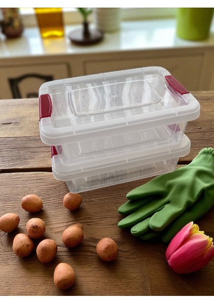 2'li Saklama Kabı / Şeffaf Dayanıklı Sızdırmaz Klips Kapaklı Yerden Tasarruf