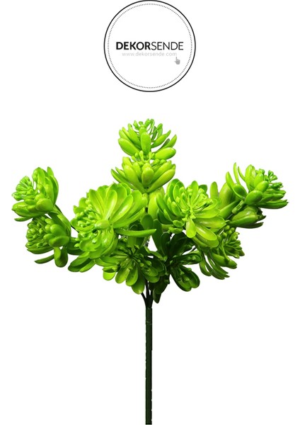 Yapay Sukulent Demeti Açık Yeşil 30 cm fiyatları