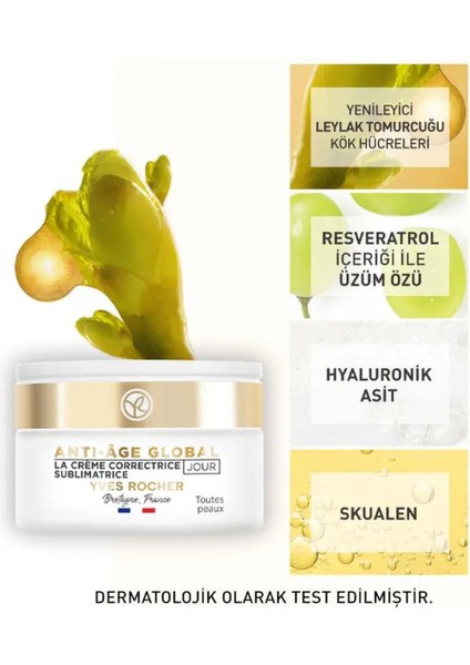 Tüm Ciltler Için Vegan Gençleştirici Yaşlanma Karşıtı Nemlendirici Gündüz Kremi-50 ml modelleri