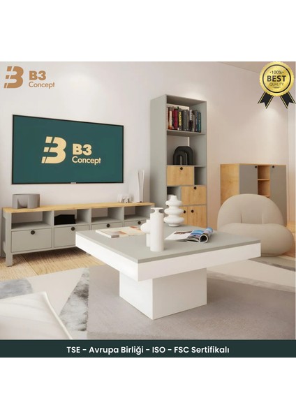 Nort Iı Serisi Modern Dekoratif Kare Salon Orta Sehpa Gri& Beyaz