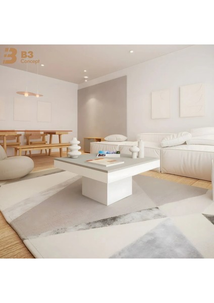 Nort Iı Serisi Modern Dekoratif Kare Salon Orta Sehpa Gri& Beyaz