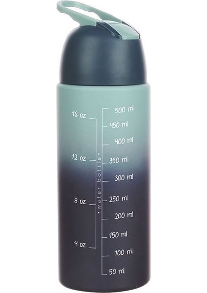 Beautiful Life Renkli 500 ml Gri Pc Matara - Suluk