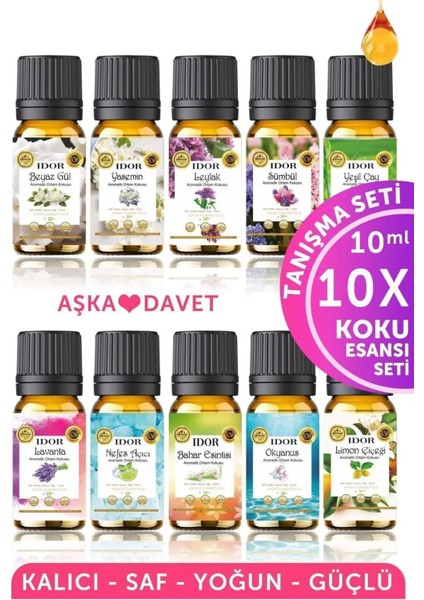 Tanışma 10'lu Esansiyel Uçucu Yağ Seti Buhurdanlık Yağı Difüzör Esansı Hobi Esans Ortam Oda Kokusu