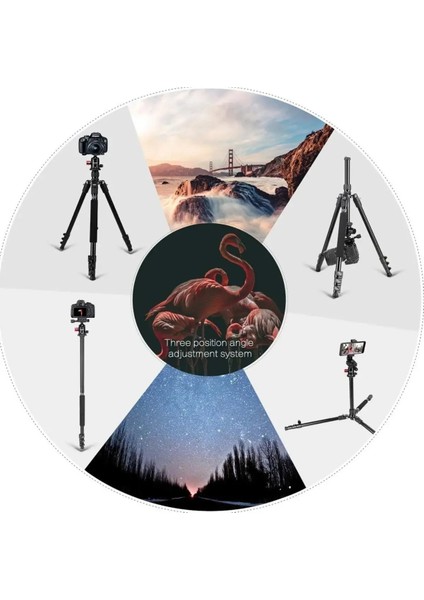 M6 Profesyonel Alüminyum Alaşım Taşıma Çantası Hediyeli 161 CM Dslr Tripod 12KG Taşıma Kapasiteli