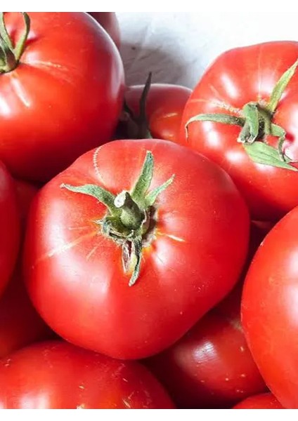 Zeytinyağlı Kuru Domates fırsatları