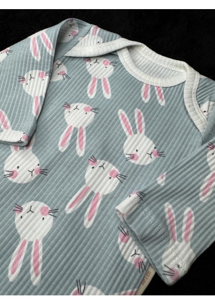 Tavşan Desenli Ikili Takım fiyatları