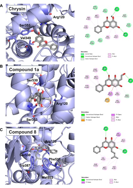 Chrysin 500 Pure 5,7-Dihydroxyflavone Krisin Healthy Hormone Levels