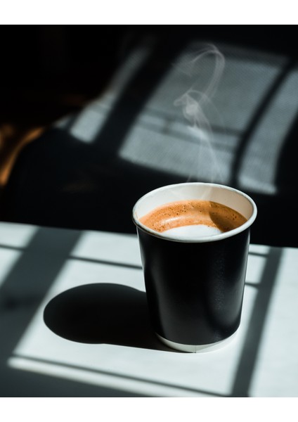 14 Oz Double Wall Siyah Görünüm Karton Bardak + Siyah Kapaklı 50'li fiyatları