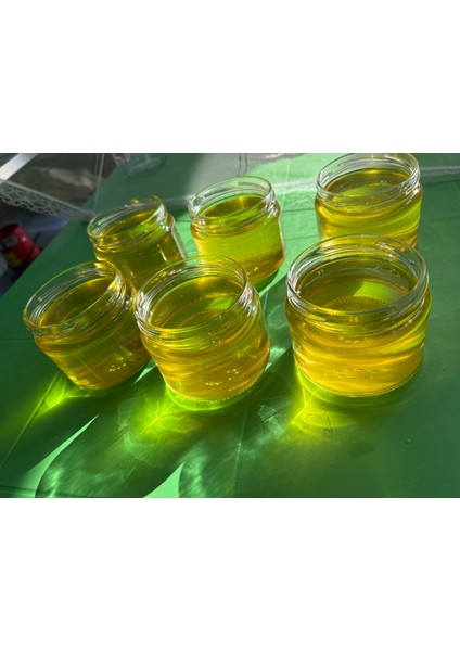 Sade Yağ-Ghee fiyatları