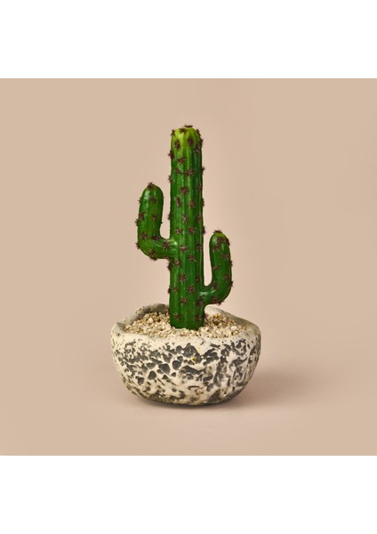 Kaktüs Saksılı Yapay Çiçek - Gri / Yeşil - 27 cm