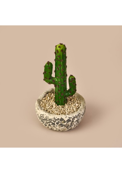 Kaktüs Saksılı Yapay Çiçek - Gri / Yeşil - 27 cm fiyatları