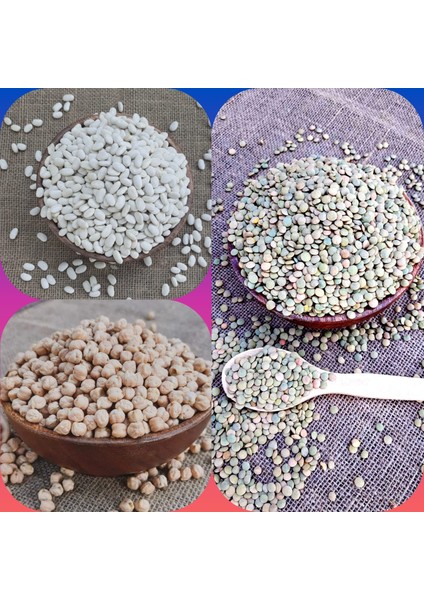 Nohut 1kg, Fasulye 1kg, Yeşil Mercimek 1kg (Net 3kg) Doğal Köy Mahsulü