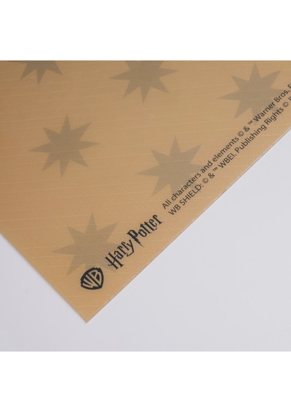 Harry Potter - Ravenclaw Lisanslı Amerikan Servis modelleri